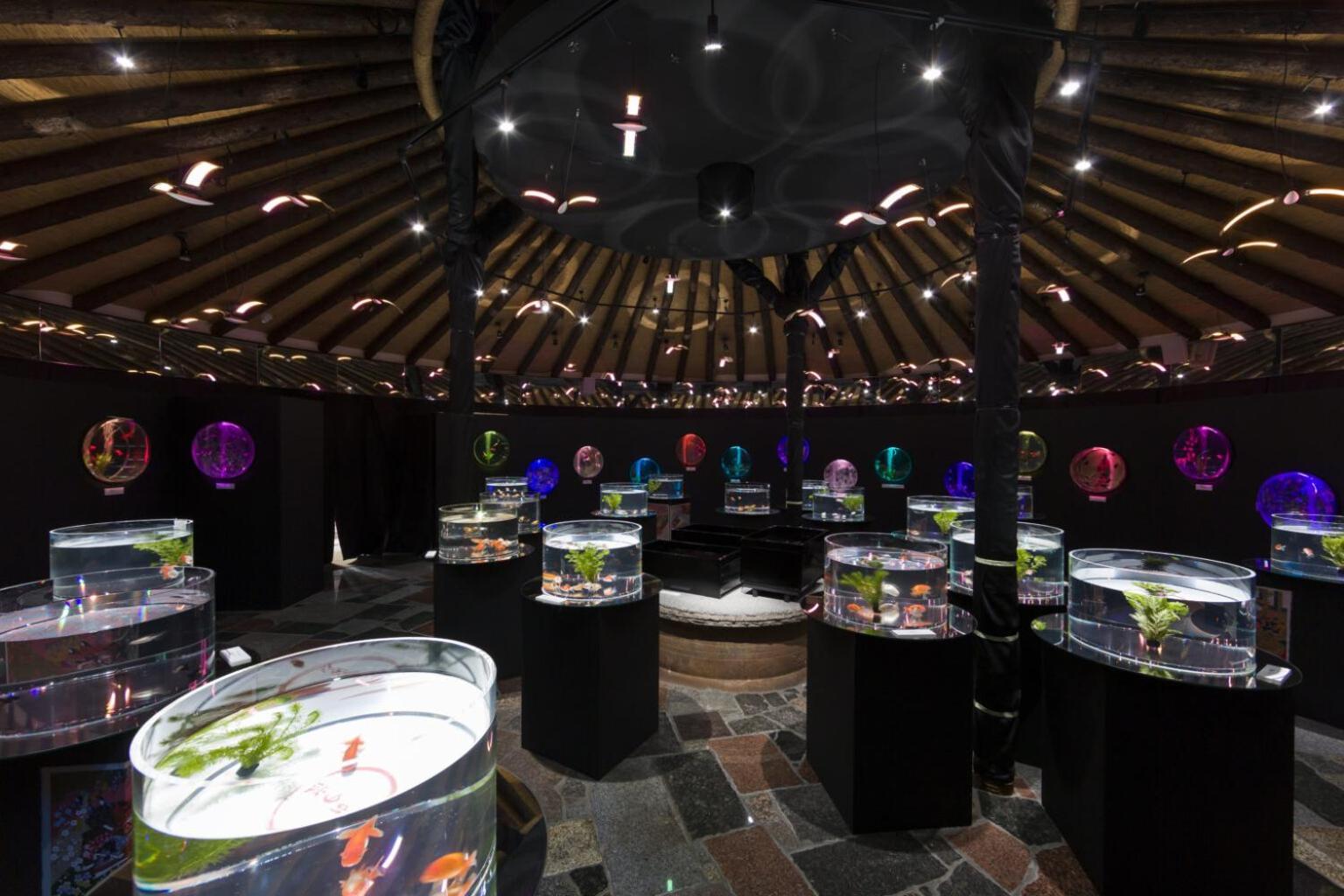 Gotemba Kogen Tokinosumika Hotel Luaran gambar