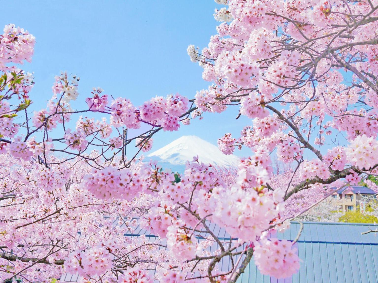 Gotemba Kogen Tokinosumika Hotel Luaran gambar